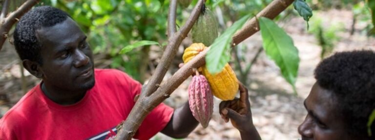 TRANSFORMING LIVES THROUGH HEALTHCARE ACCESS